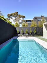 Outdoor, Trees, Back Yard, Grass, and Large Pools, Tubs, Shower Canny 'The New' Pool  Photo 7 of 21 in The New by Alexandra