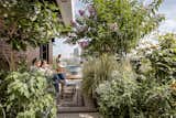 The pool, at the far end of the garden, surrounded by plants for privacy, offering a perfect place to unwind