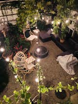 Back yard