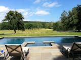 Distant views of hay fields and Sycamore trees
