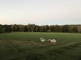 Open hay fields