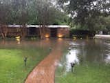 Harvey II  Photo 8 of 10 in A Modern Flood Story by Terry T.