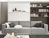 Modern Murphy bed with sofa