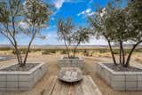 An olive grove on the property is perfect for al fresco dining