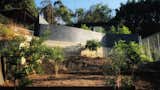 Gray water-fed terraced citrus grove at the rear of the property