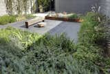 An expanded-metal stainless wall and a weathering steel planter complement a home renovation that highlights industrial materials, while lush and highly textural plantings form a lush contrast with the 'tougher' elements.