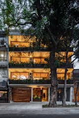 A Mexico City Apartment Building Offers Lush Terraces Clad in Concrete and Steel - Photo 10 of 10 - 