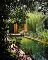 How They Pulled It Off: A Backyard Spa in London That Feels Worlds Away From the City