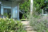 The villa is located in a 2,5 acres park amidst 37 acres of vineyard, orchards and vegetable gardens