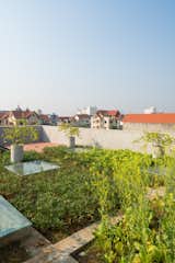 The rooftop garden not only provides daily food for the family, but also a place to rest every afternoon.