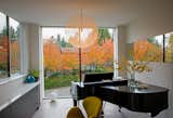 Backdrop is neighbor's trees with beautiful foliage