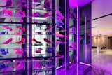  Photo 7 of 31 in Boutique Home  to become the Fashionable Stage by 大雄設計Snuper Design Inc.