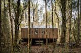 A Minimalist, Wood-and-Glass Cabin Nestles Into a Patagonian Forest