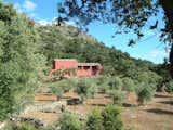 Cortijo with olive groves