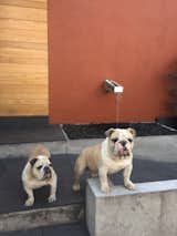 entrance with Morris and Mapache