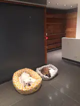 Immediately after moving in.