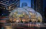 Architecture firm NBBJ designed the Spheres, the standout feature of Amazon's Seattle campus.