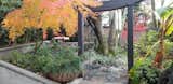 Outdoor, Flowers, Stone Patio, Porch, Deck, Retaining Fences, Wall, Wood Patio, Porch, Deck, Hanging Lighting, Concrete Patio, Porch, Deck, Trees, Shrubs, Garden, Hardscapes, Raised Planters, Gardens, Stone Fences, Wall, Landscape Lighting, Walkways, Slope, and Concrete Fences, Wall Zen Garden in Fall  Photo 14 of 17 in Luxury Zen Retreat in California's Gold Country by Charles J Lauria