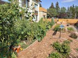  Photo 4 of 25 in Radiance Cohousing by Shannon Dyck