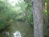 Our lovely, quiet river...a sanctuary for waterfowl, herons, turtles, etc.