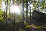 The lush and lovely hardwood forest