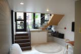 View from basement extension towards rear garden