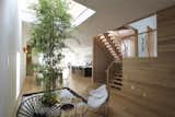 Bamboo Courtyard