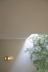 Bamboo with wall sconce 