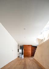 Tamarindos - BASO Arquitectura