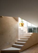 Tamarindos - BASO Arquitectura