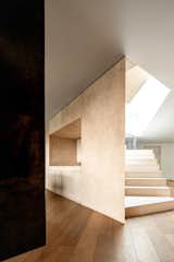 Tamarindos - BASO Arquitectura