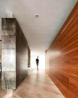 Tamarindos - BASO Arquitectura