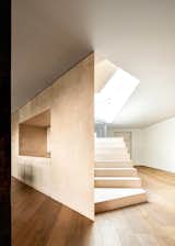 Tamarindos - BASO Arquitectura