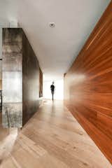Tamarindos - BASO Arquitectura