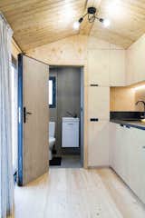 Bath Room, Ceiling Lighting, Wall Mount Sink, and Enclosed Shower Cement fibre boards bathroom  Photo 15 of 22 in KOLELIBA Family Tiny House by Hristina Hristova