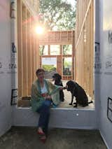 Initial dog inspection