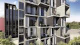 Zapata - CRAFT Arquitectos
