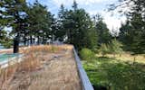 The flat roof holds a green roof that grows native grasses and wildflowers
