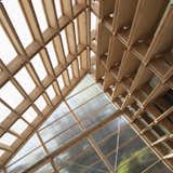 Looking up