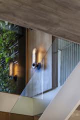 Staircase, Glass Railing, and Concrete Tread  Photo 1 of 17 in Morphosis House by Estudio PKa