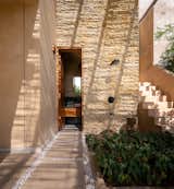 The family are plant connoisseurs who guided the preserving and planting of species that would thrive in the conditions are the house.  Photo 13 of 18 in This Leafy Green Garden Dwelling in India Has an Endless Pool