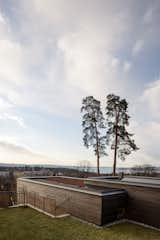 Outdoor, Metal Fences, Wall, Rooftop, Trees, and Wood Patio, Porch, Deck Keeping, but not stealing the view of the fjord.  Photo 1 of 16 in Lillesteile by Skaara Arkitekter