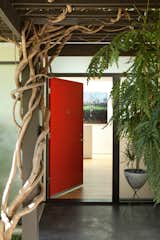 Hallway, Exterior, Doors, and Swing Door Type A view of the entry from outside. One enters the house from under a pergola of wisteria, and is immediately within a house of light. A large skylight over the wall at the end of the entry serves as both an art wall, and a way of welcoming you with light in a formerly dark area.  Photos from Los Feliz Residence