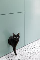 Cat loo cupboard