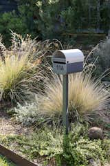 Aussie letterbox in native garden