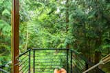 Private balcony lets you explore the forest outside from a unique vantage point.