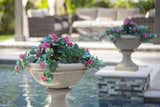 Landscaping touches were added throughout the outdoor space with flowers tumbling from graceful concrete Charleston Gardens Planters sitting atop stone accented pillars guarding the edges of the custom-built swimming pool.