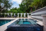 Matte black and white tile are presented in an elegant striped waterfall wall display. Vidrepur - Titanium tile completely covers the raised spill-over spa and offers a perfect spot to take in the gentle waterfall.  Images by Jimi Smith Photography.