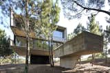 The pool is lifted up from the forest floor to the level of the home on a single concrete fin.