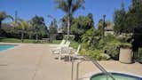 187 Camino el Rincon - Community Pool, Spa and park area